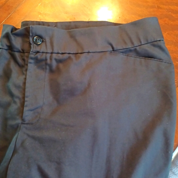 Catherine's Modern Stretch Pants - Picture 3 of 4